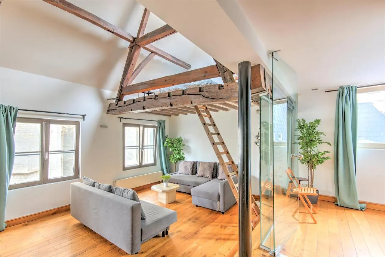 Tempel Triplex & Duplex At Historic Heart Of Antwerp Apartment Belgium