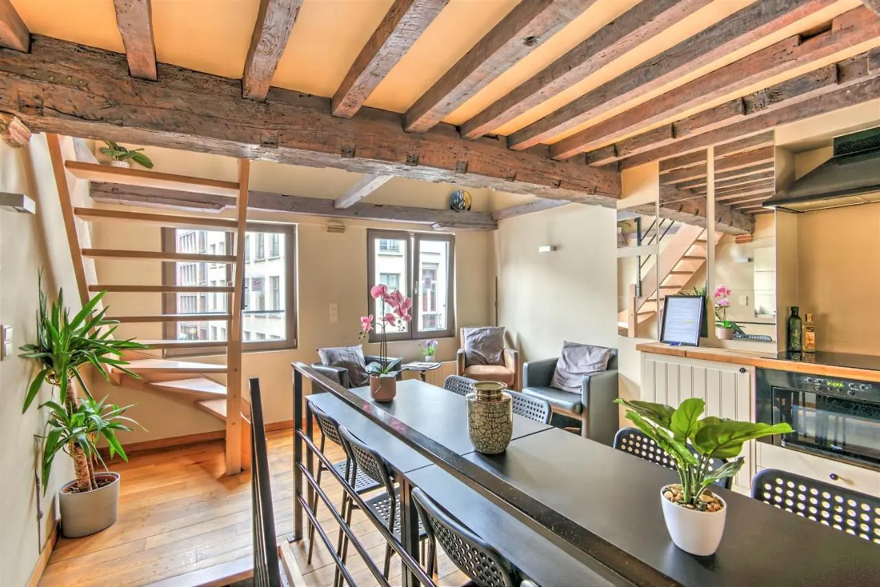 דירות Tempel Triplex & Duplex At Historic Heart Of אנטוורפן 0*,
